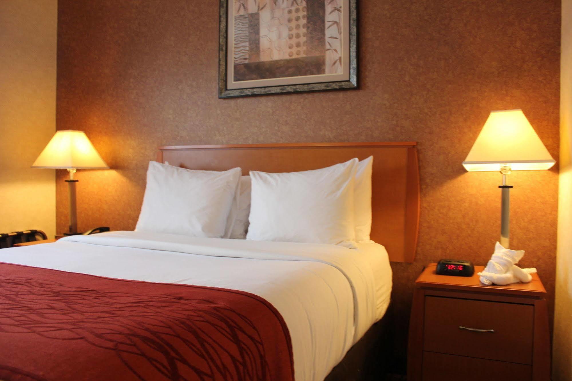 Bellerose Inn Экстерьер фото